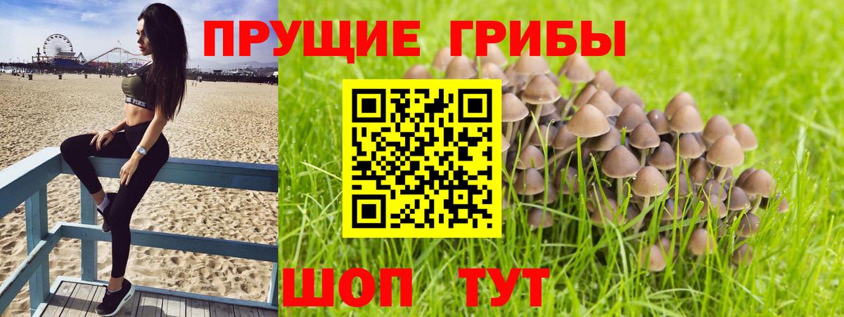 Alpha PVP СК кристаллы  COCAIN  Мефедрон   Новый Уренгой  КЕТАМИН  ЭКСТАЗИ  ГАШ  Cocaine  Канабис  МЕТАМФЕТАМИН  Вход с VPN 